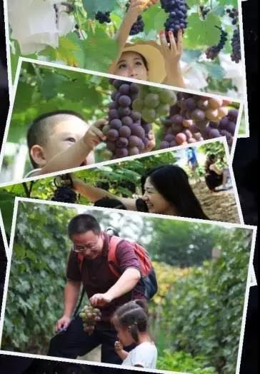 热烈祝贺广州市国艺农业生态有限公司挂牌成功！